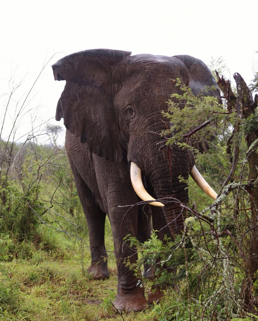 Saveclip.app 589906783 18541522189019425 1531032186875589186 N