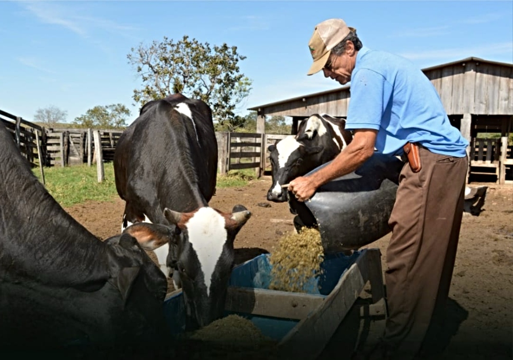 PIB cearense cresce 2,25% e supera a média nacional no terceiro trimestre