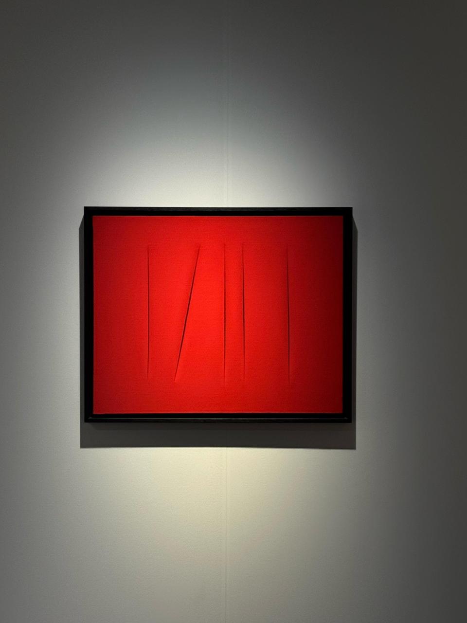 Whatsapp Image 2025 12 14 At 11.45.30