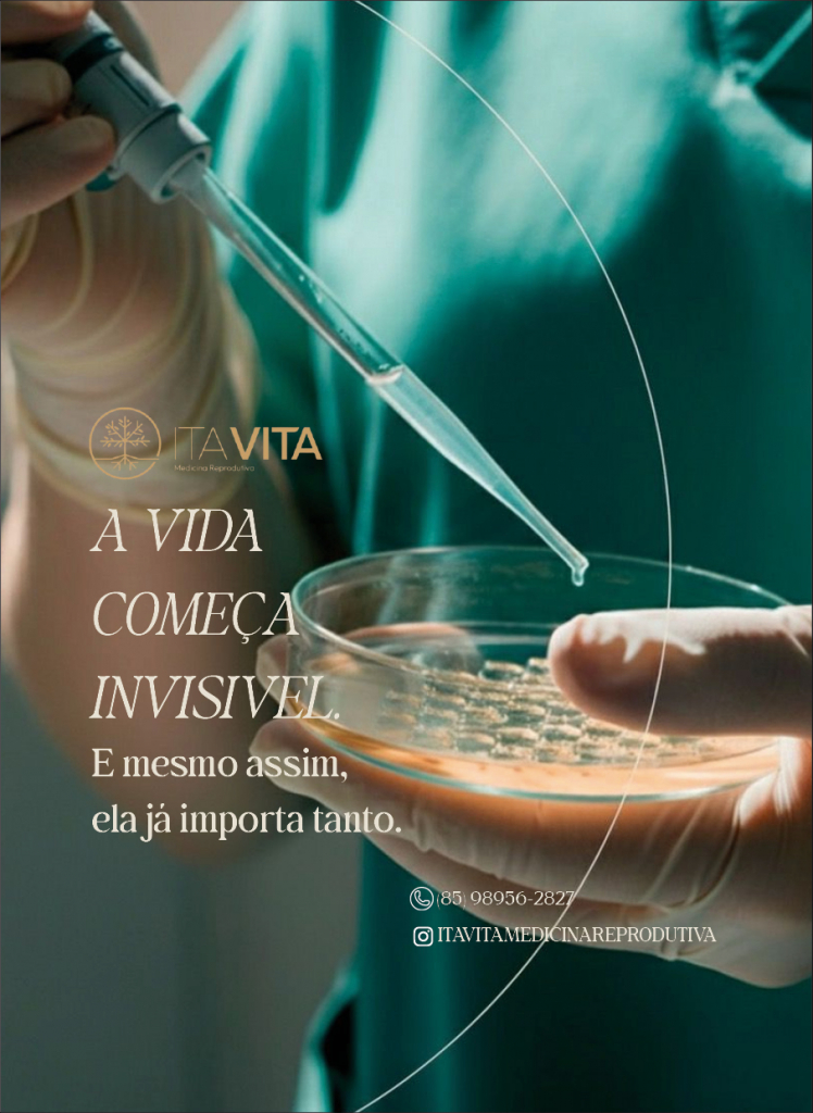 Insider #296 Ana Flávia Torquato36