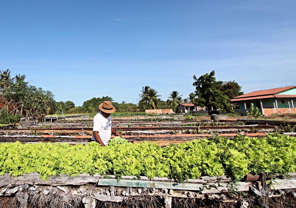 BNB amplia crédito fundiário em 219% e libera R$ 184 milhões para agricultores