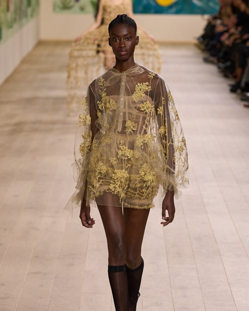 Saveclip.app 475977015 18044791976515998 2441511680597256974 N