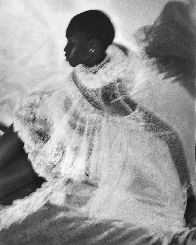 Saveclip.app 557424268 18070917656515998 900552331938854611 N