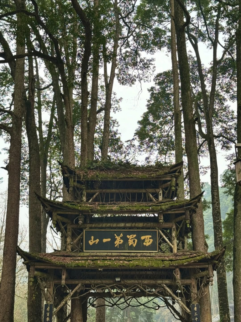 Saveclip.app 601773575 18551066413060557 1082966819757464526 N