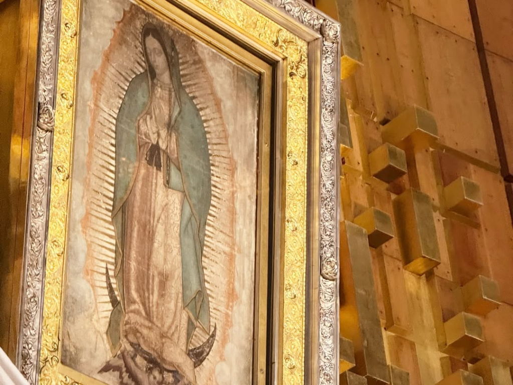 Saveclip.app 615715997 18561061468027018 5696557630507429889 N