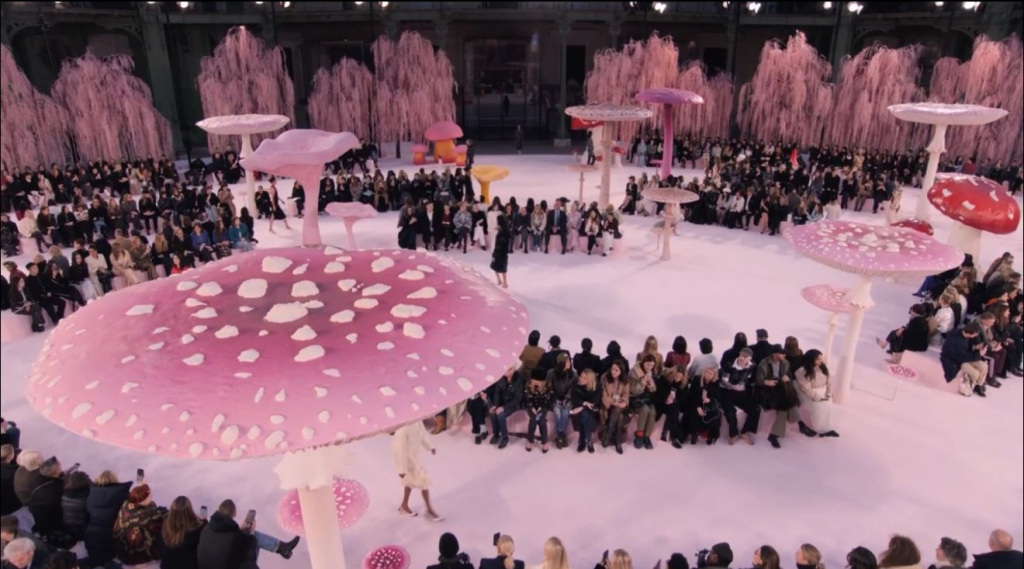 Whatsapp Image 2026 01 27 At 11.33.30