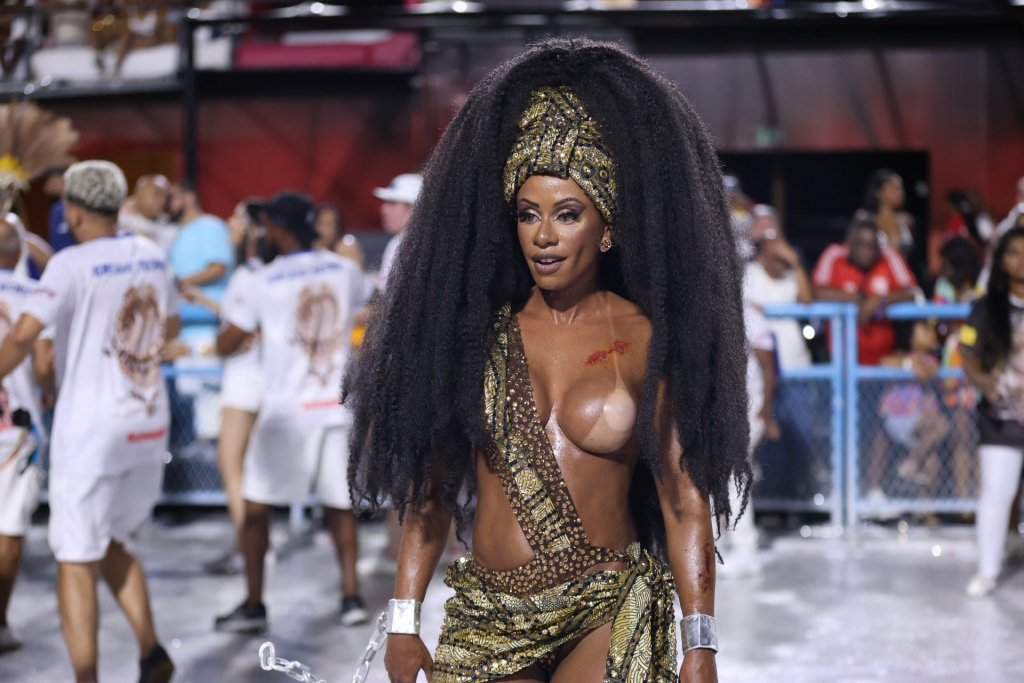 Beija Flor Ensaia Na Sapucaí (3)