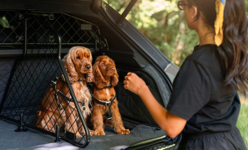Bentley leva o luxo automotivo também aos passageiros de quatro patas