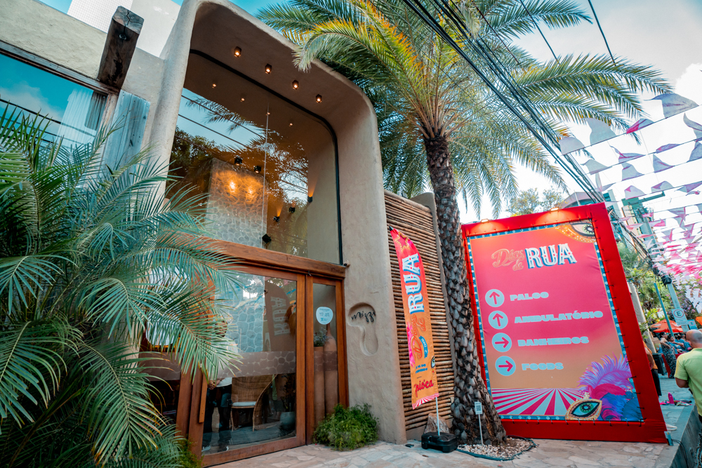 Bloco De Carnaval Dias De Rua (42)