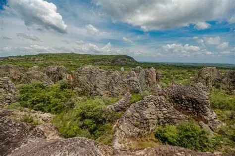 Descoberta de sítio arqueológico com gravuras rupestres no Piauí reforça valor histórico da Caatinga
