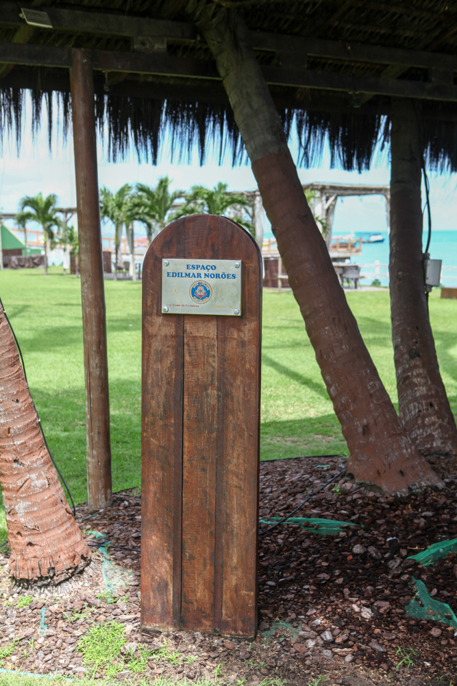 Iate Club De Fortaleza (19)