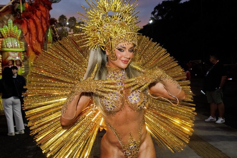 Carnaval 2026 - Luxo, tradição e enredos sociais marcam primeira noite de desfiles do Grupo Especial em São Paulo