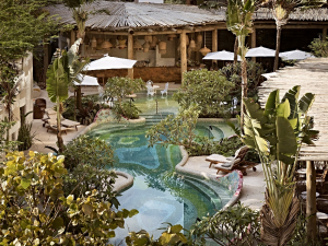 Oásis Urbano Do Rosewood