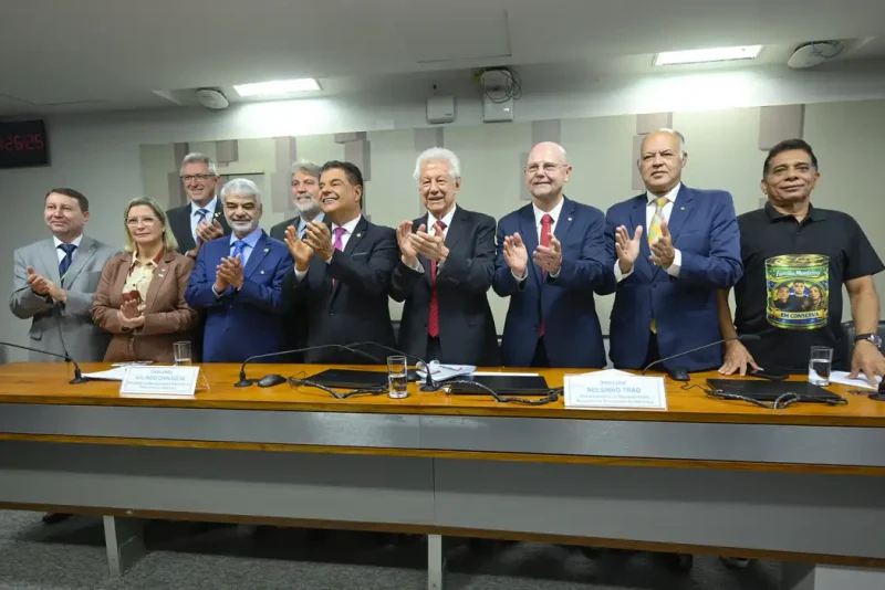 Representação Brasileira Do Parlasul Aprova Acordo Mercosul Ue Agência Senado