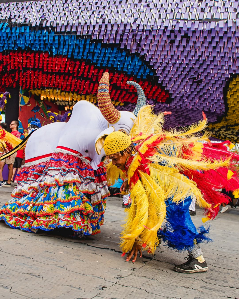 Silêêêncio… A Nossa Tradição Cultural Tá Abrindo Alas Por Aqui. 🤫#carvalheiranaladeira2026 #car (1)