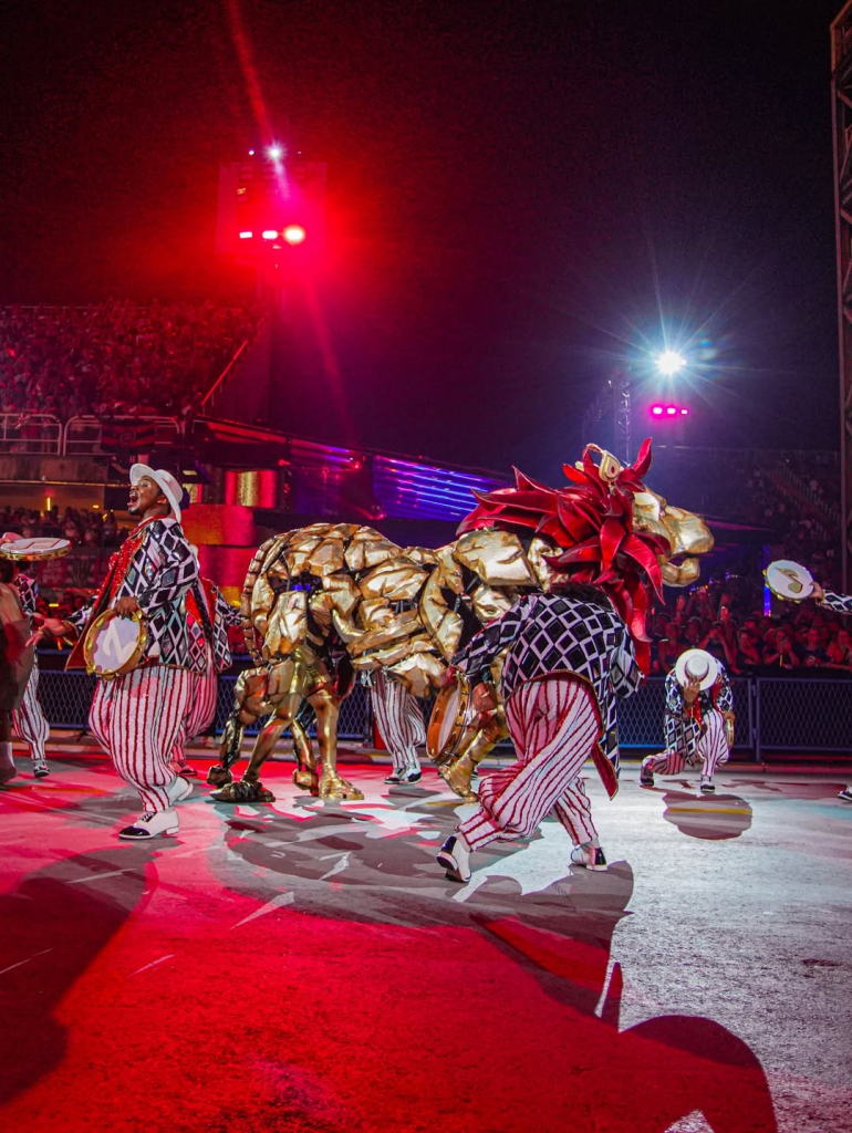 Unidos Da Viradouro (3)