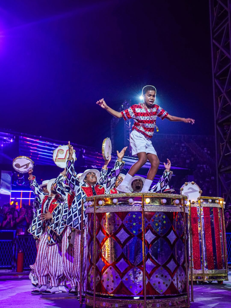 Unidos Da Viradouro (4)