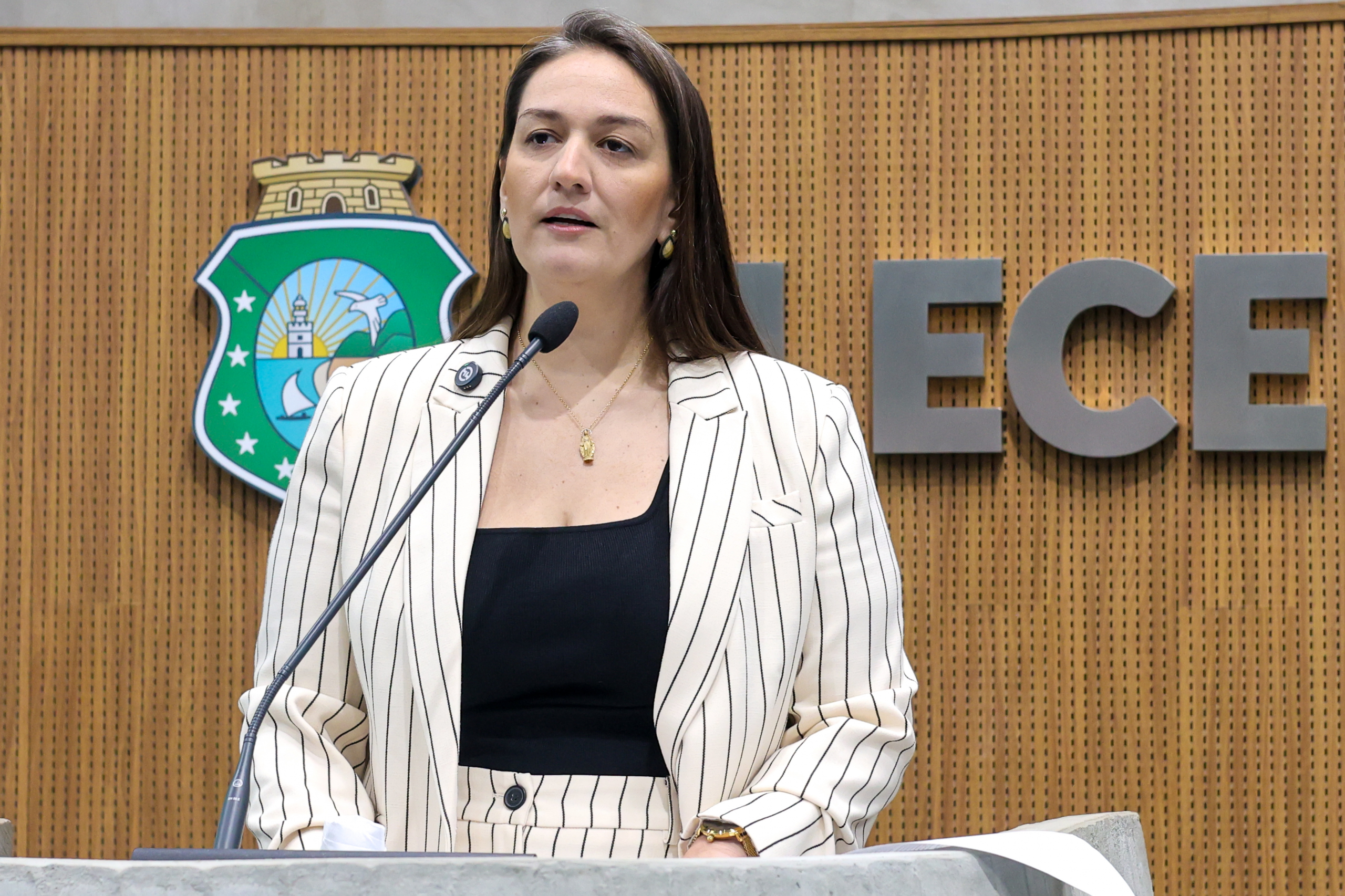 Deputada cearense sugere programa estadual de mentoria para meninas na política