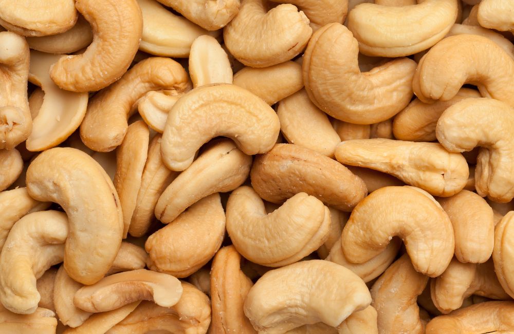 Brasil amplia acesso a mercados e impulsiona exportações agropecuárias para Ásia e Europa