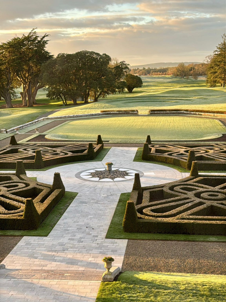 David Moura Do Carmo (9)