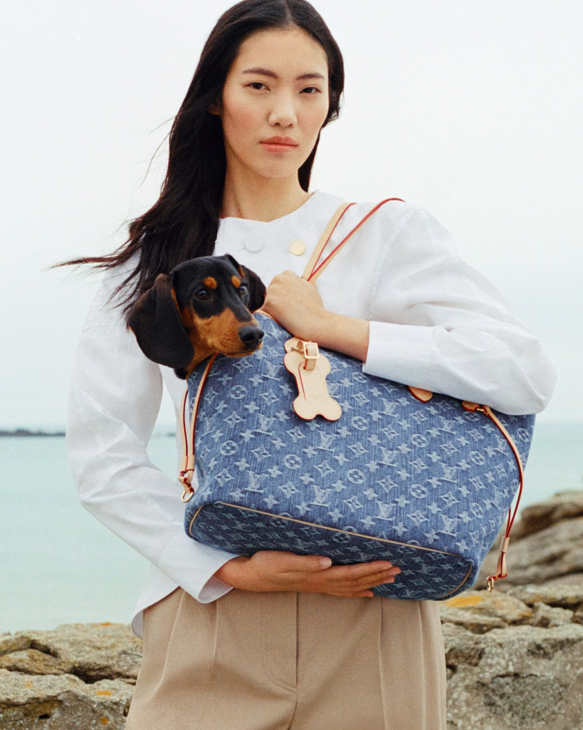 Louis Vuitton Denim Rendez Vous (1)