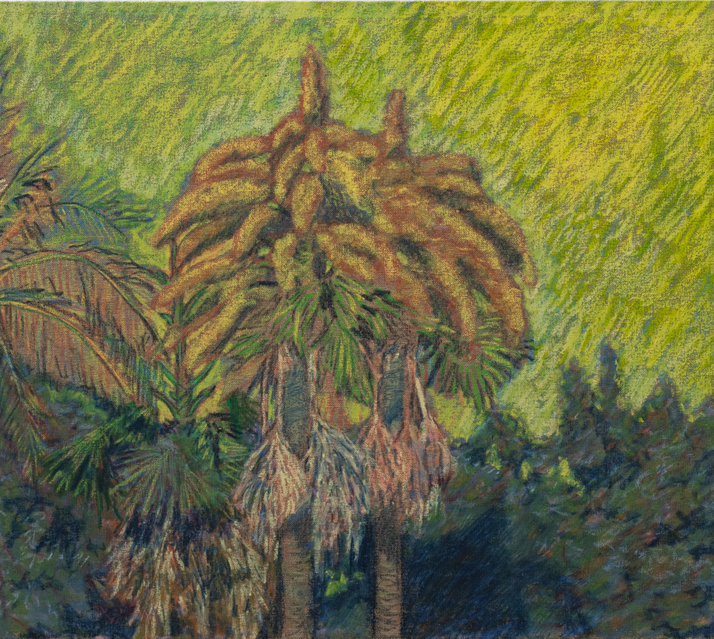 Maxwell Alexandre 26584 Ph Julia Thompson