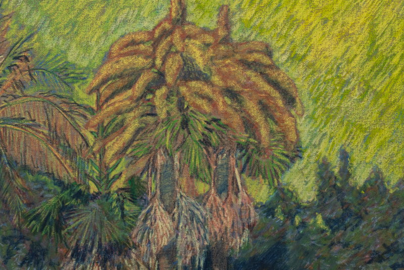 Maxwell Alexandre 26584 Ph Julia Thompson