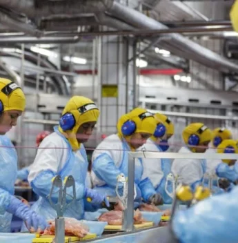 MBRF fecha 2025 com lucro de R$ 358 milhões e amplia foco no Oriente Médio