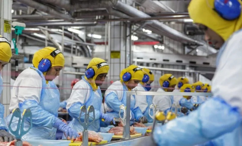 MBRF fecha 2025 com lucro de R$ 358 milhões e amplia foco no Oriente Médio