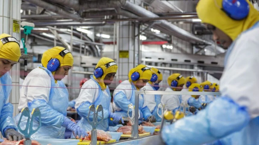 MBRF fecha 2025 com lucro de R$ 358 milhões e amplia foco no Oriente Médio