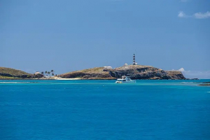 Medium Ww1492375 1 137867