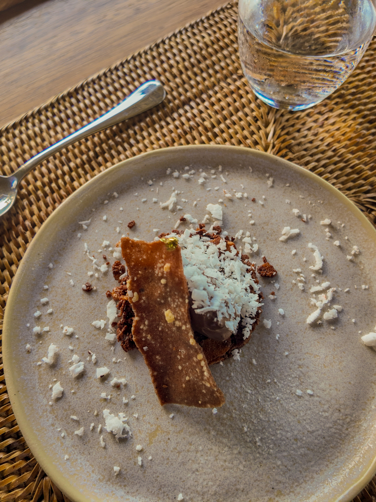 Mousse De Chocolate Com Coco Ralado