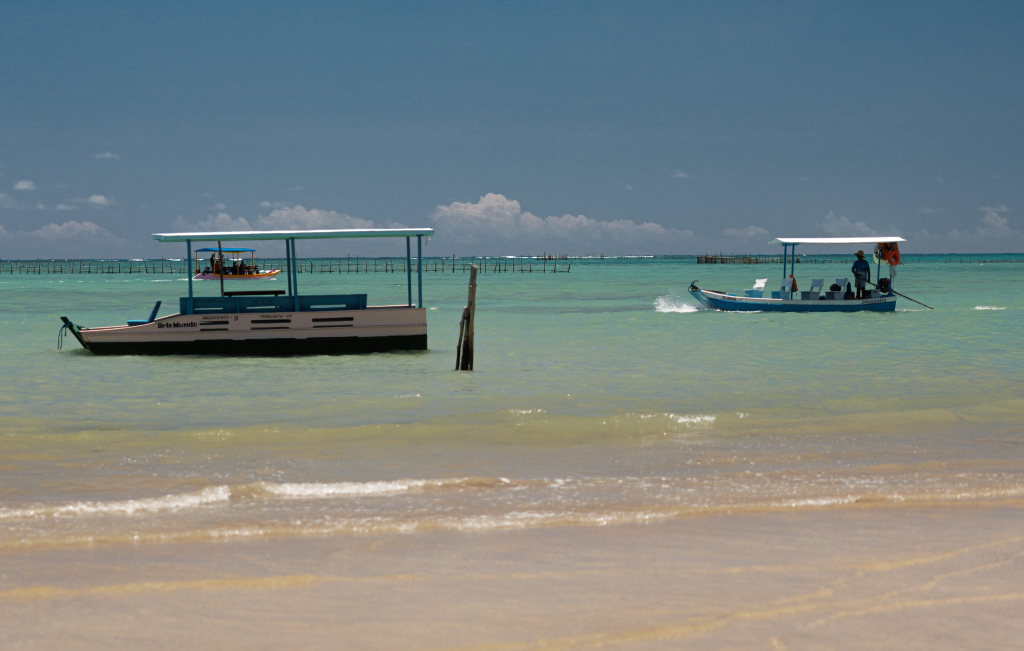 Ofnicoferri 27122025 Ico7260