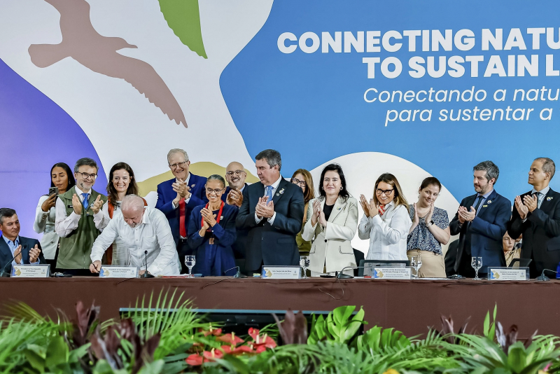 Ao sediar COP15, Brasil combina diplomacia ambiental e ampliação de áreas protegidas