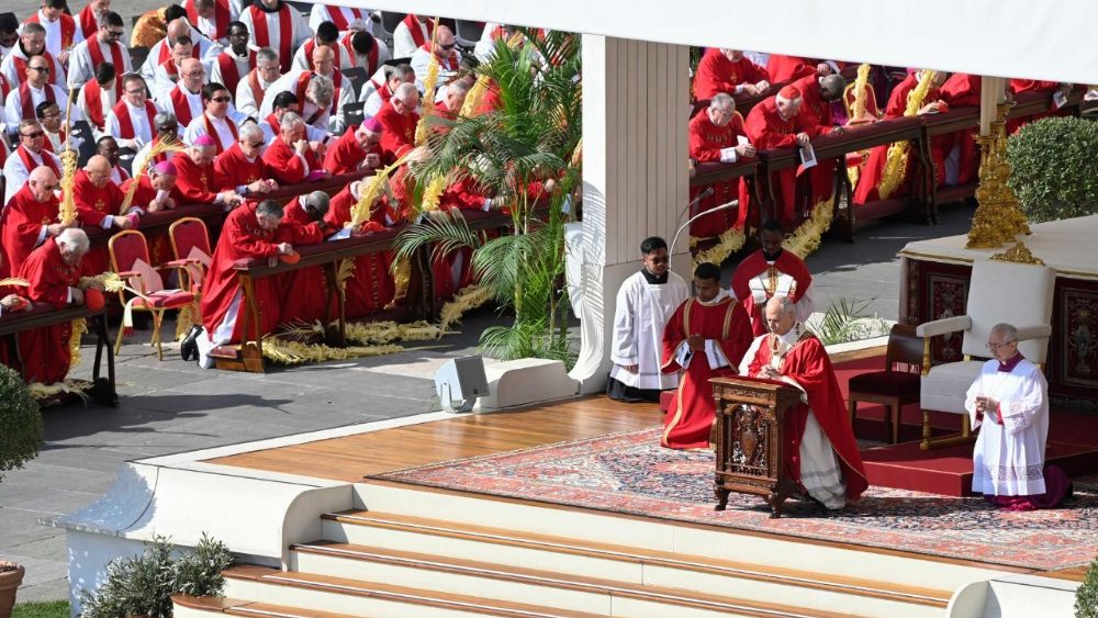 Domingo de Ramos marca início da Semana Santa com mensagem do Papa - Fotos: Vatican Media