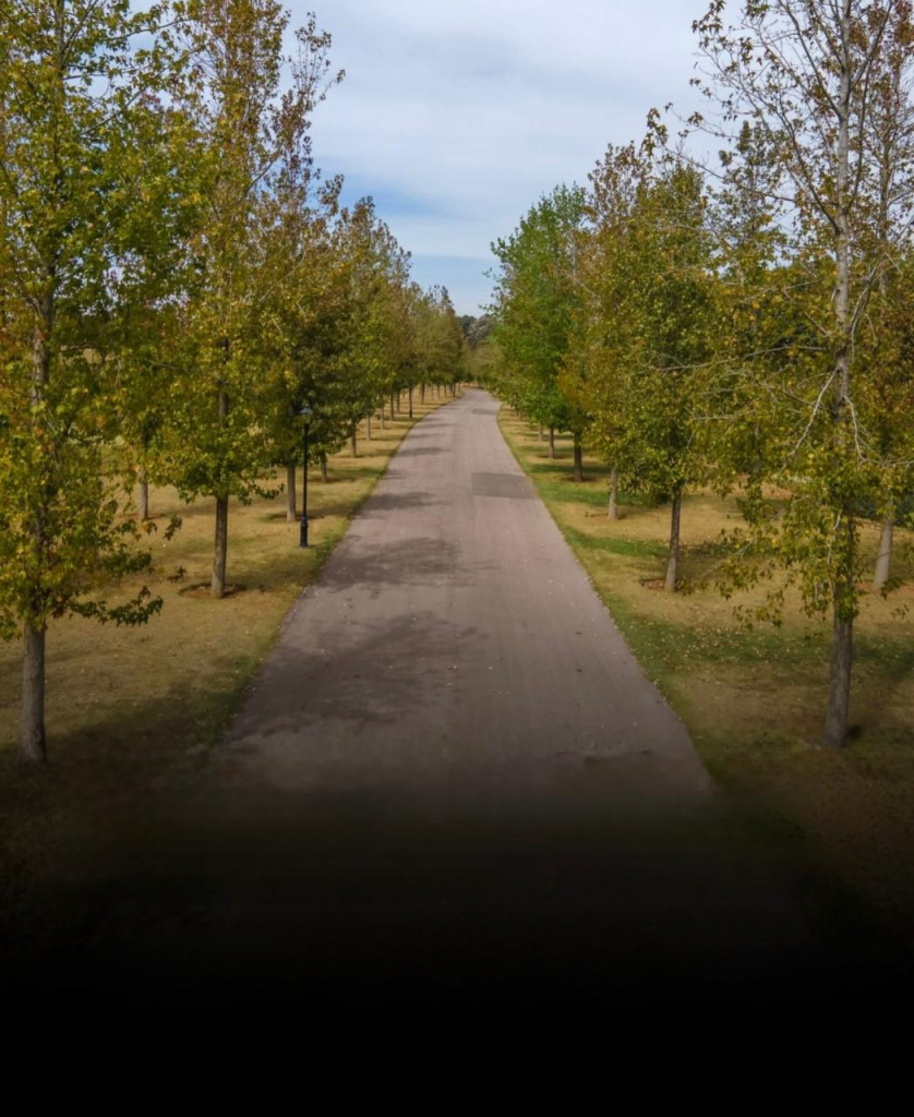 Whatsapp Image 2026 03 14 At 16.17.10