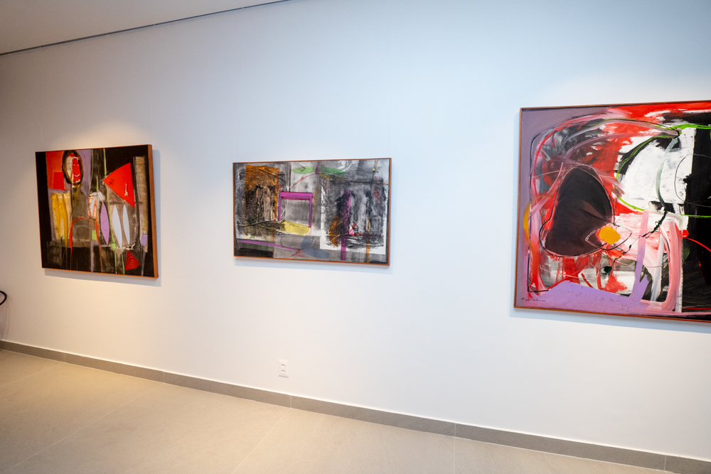 30 Anos Grupo Spazio (15)