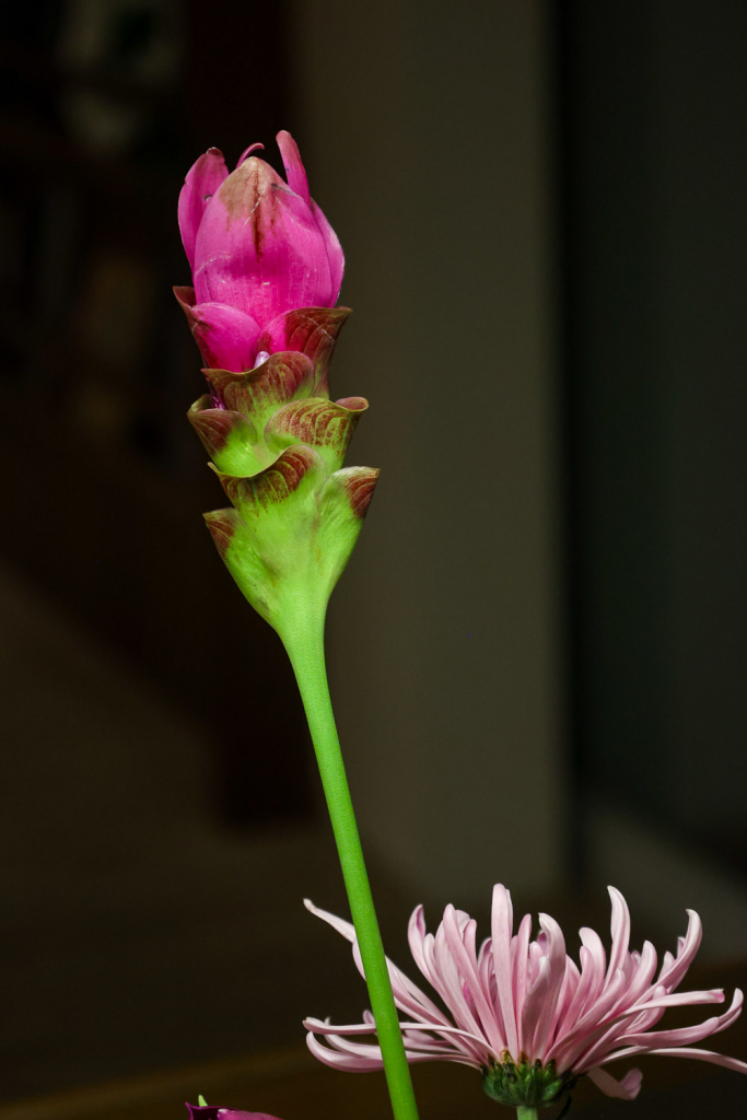 Clube Do Livro 7r0a1800