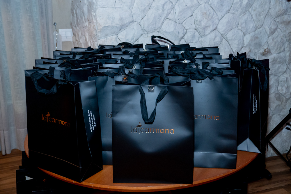 Lançamento Podcast Conexão Real Por Viviane Almada (3)