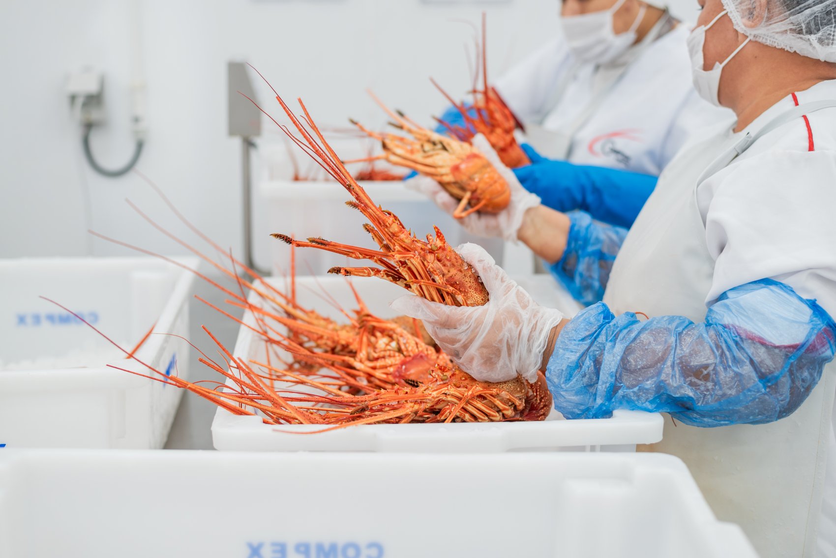 Revista 20240528 Visita A Compex Capa Da Revista Foto Laura Guerreiro 37