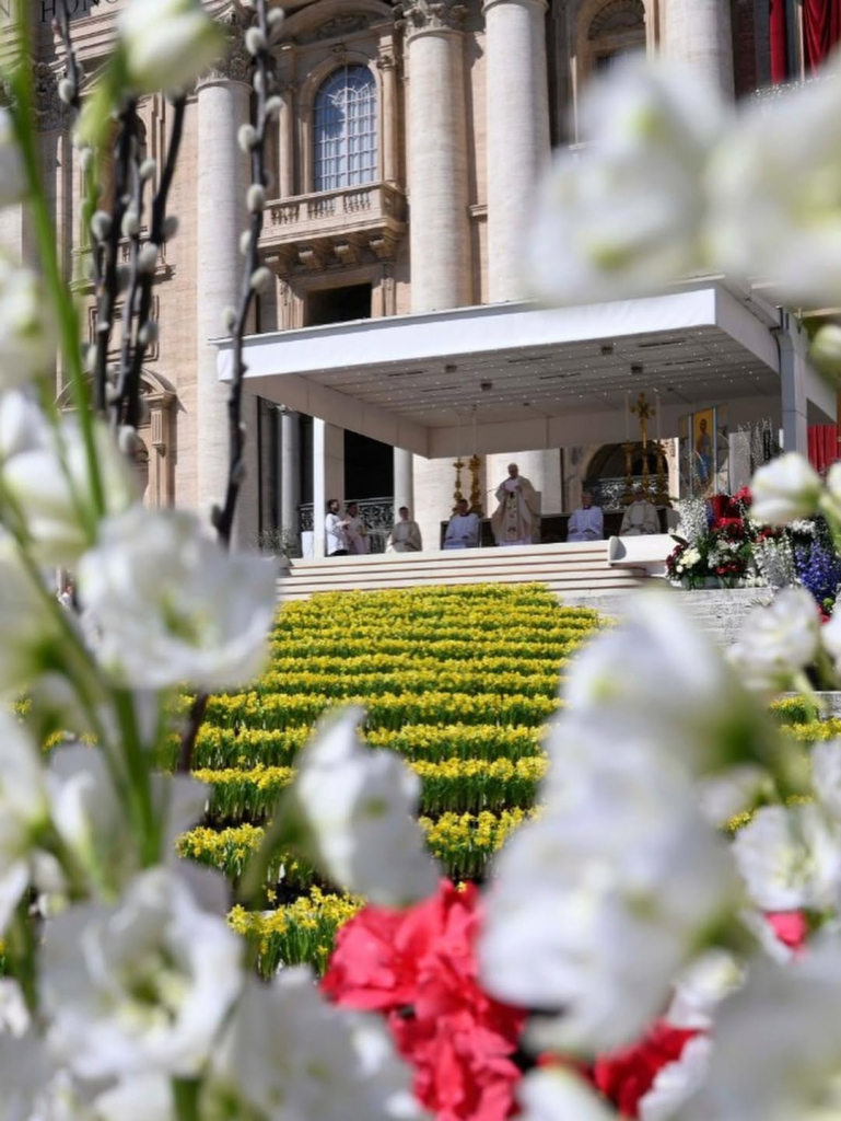 Saveclip.app 660461587 18099401282088319 4754457056647088316 N