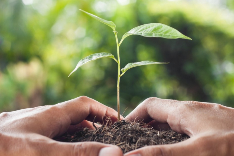 Ceará Sustentável prorroga inscrições e amplia acesso de indústrias à agenda ESG