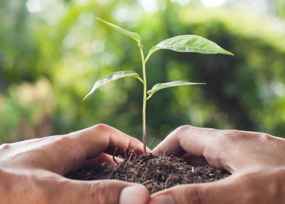 Ceará Sustentável prorroga inscrições e amplia acesso de indústrias à agenda ESG