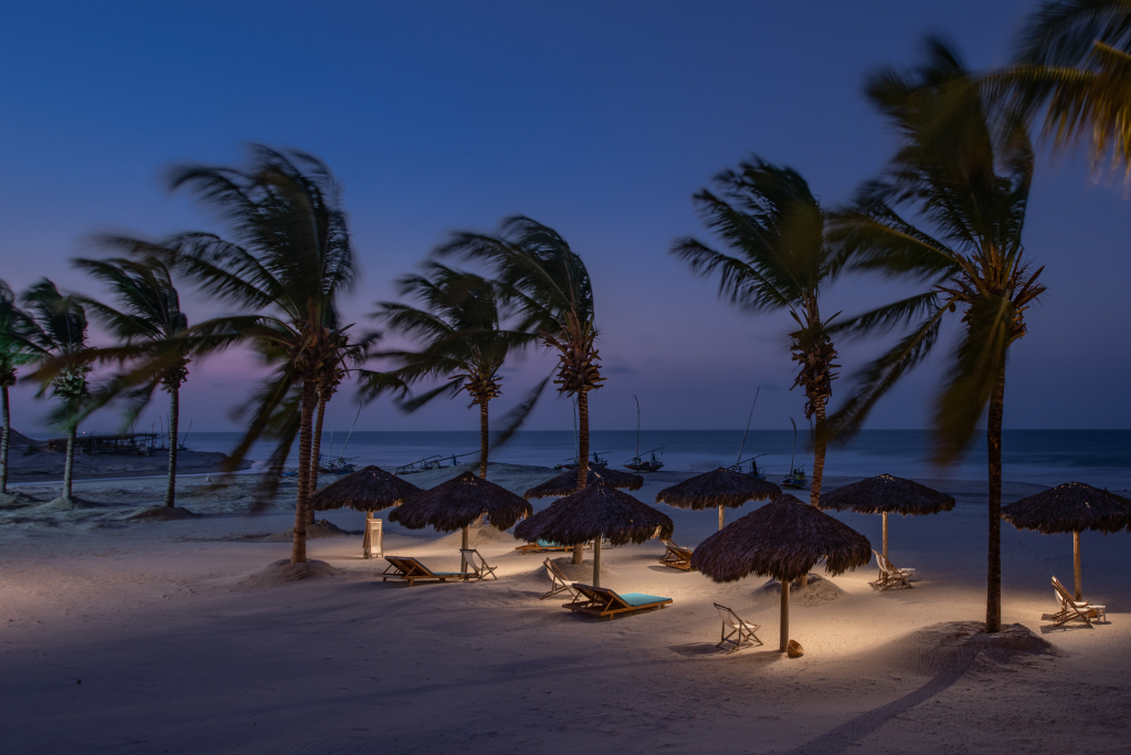 Vila Selvagem 2 Alta 2x3 207