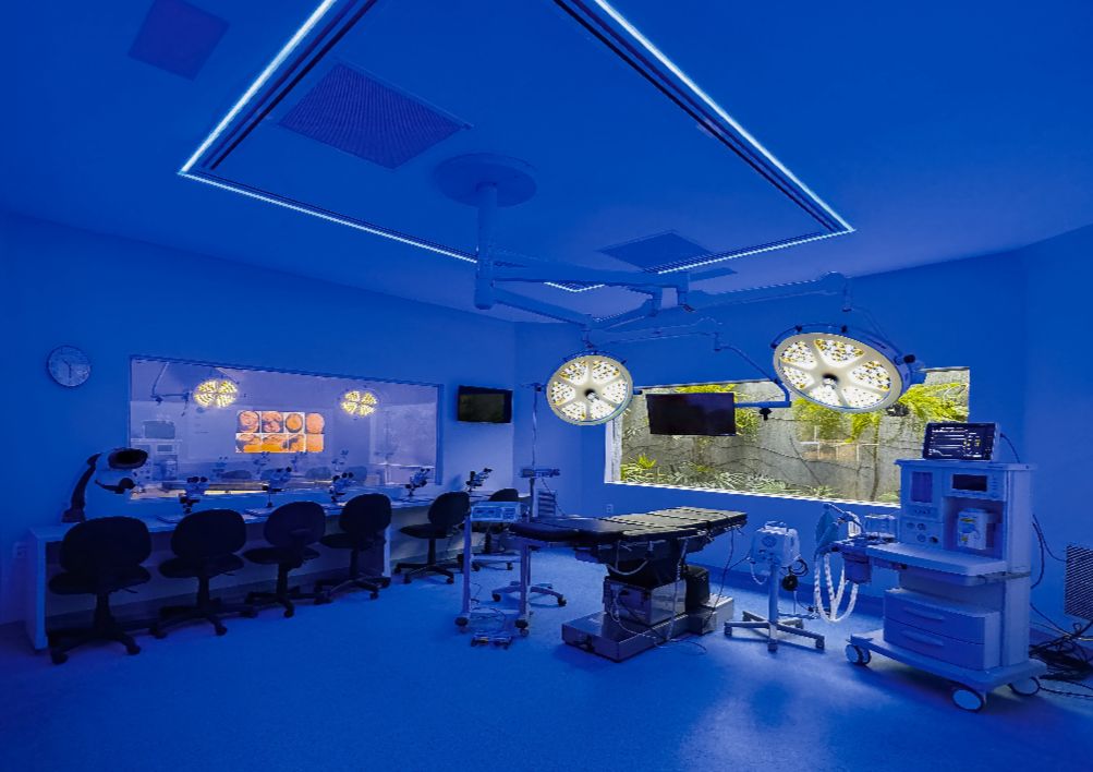 Whatsapp Image 2026 04 18 At 14.21.09 (1)