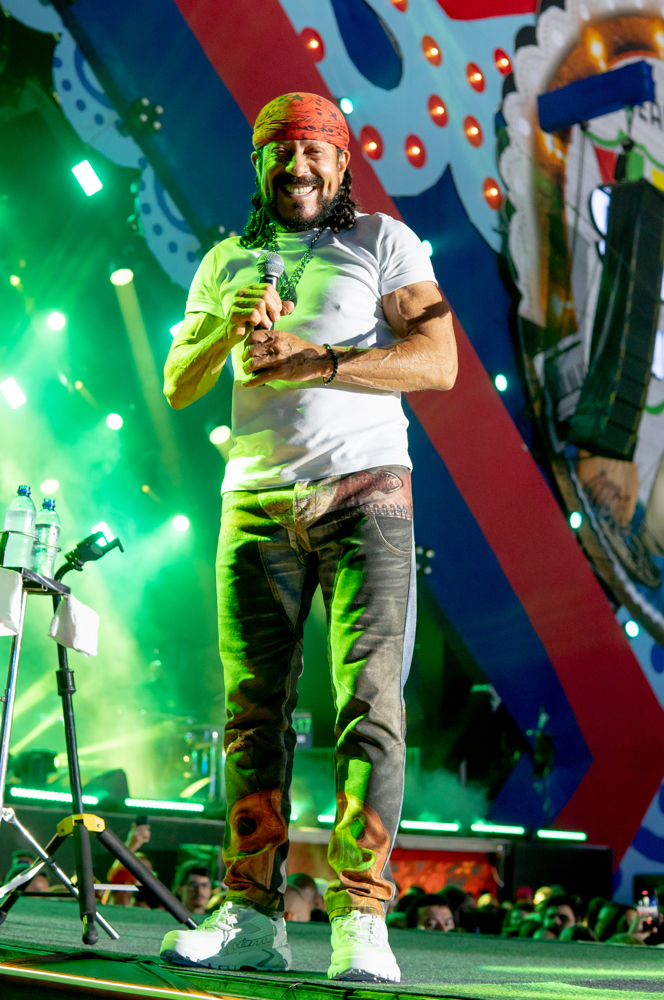 Bell Marques (8)
