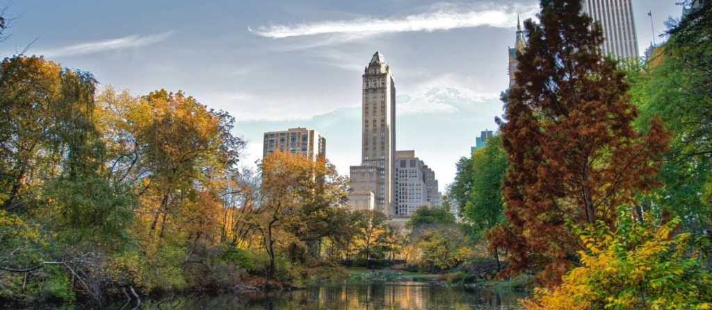 NYC Morning Run reúne convidados em experiência de bem-estar no Central Park