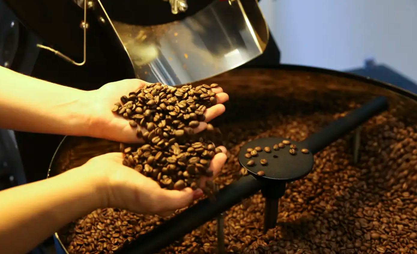 Safra de café do Brasil deve bater recorde histórico em 2026, projeta Conab