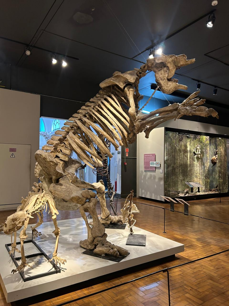 Museu De Zoologia De Sp (1)