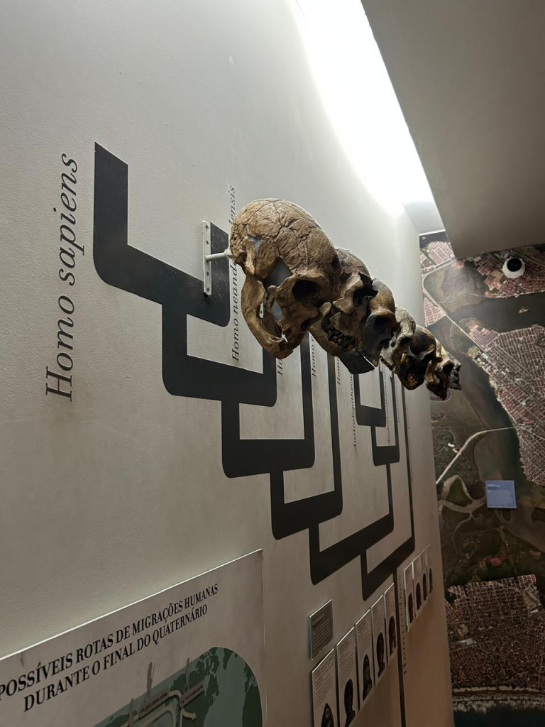 Museu De Zoologia De Sp (2)